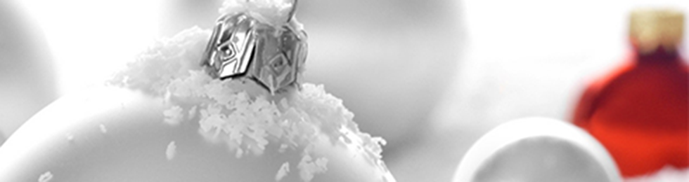 site:media/staff/newyear_topbg2.png